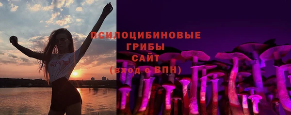 ПСИЛОЦИБИНОВЫЕ ГРИБЫ Алексеевка