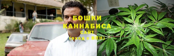 ПСИЛОЦИБИНОВЫЕ ГРИБЫ Алексеевка