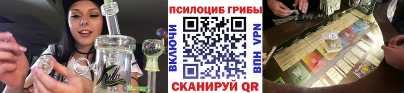 Псилоцибиновые грибы Cubensis  Энгельс 