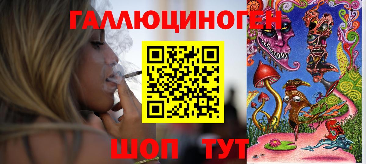 Псилоцибиновые грибы Cubensis Энгельс